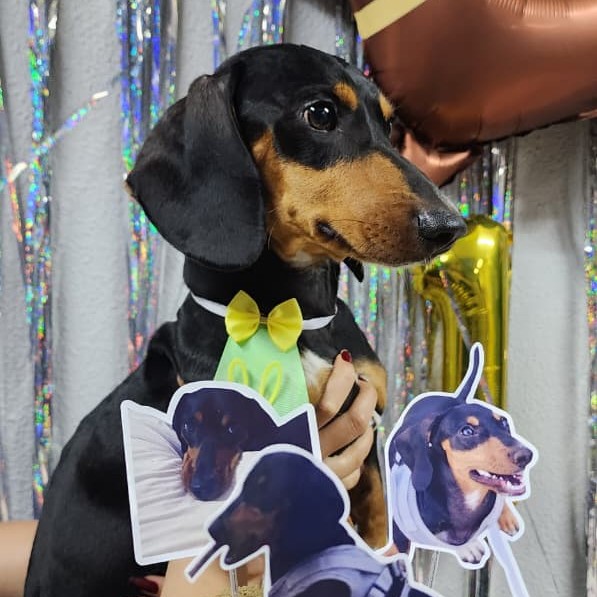 Aniversário de 1 ano dele